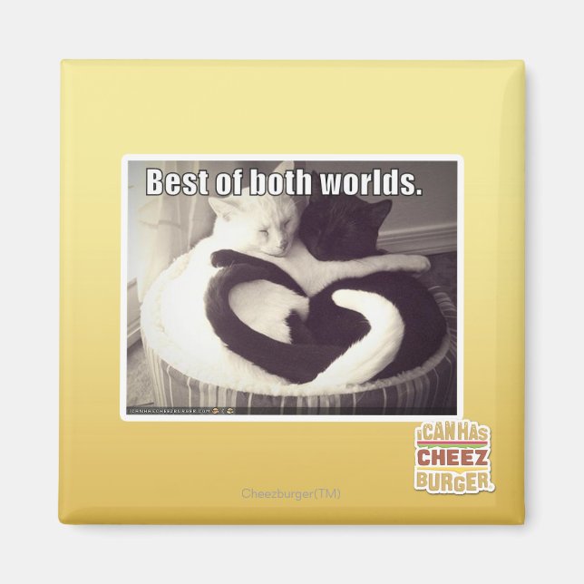 Best of both worlds. magnet (Front)