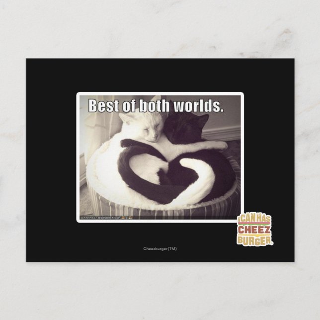 Best of both worlds. postcard (Front)