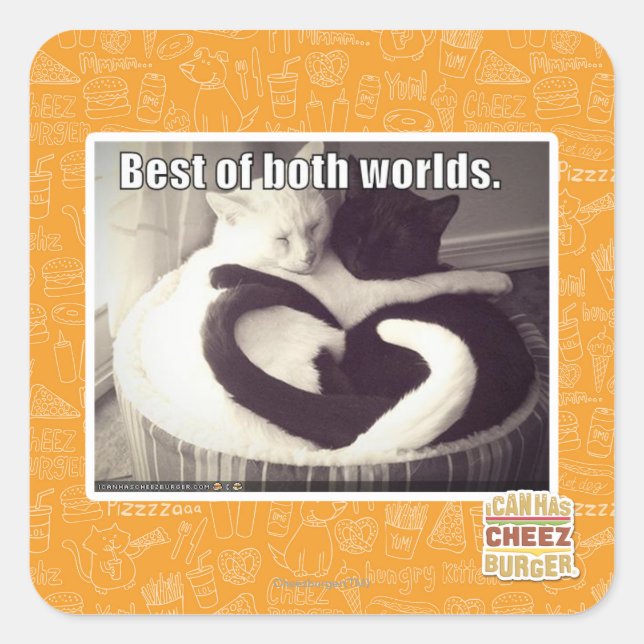 Best of both worlds. square sticker (Front)