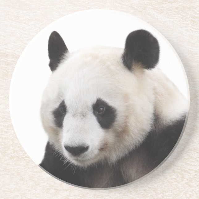 Best-of-Breed "Panda" Sandstone Coaster (Front)