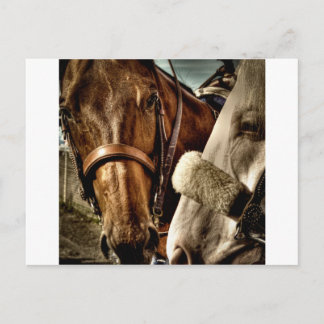 Best of Friends Postcard