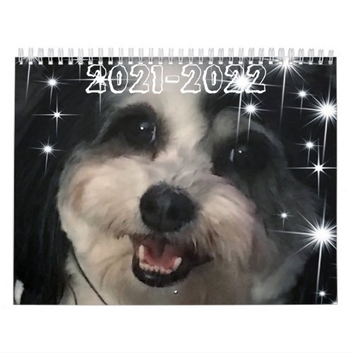 Best of K_Cee Cute Zuchon Dog 2021_2022 Calendar