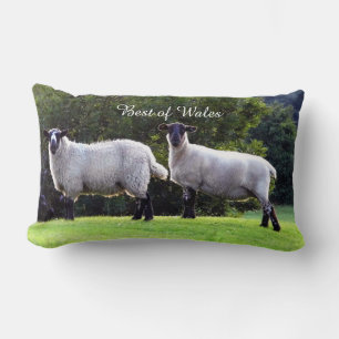 Best of Welsh Lamb. Lumbar Pillow