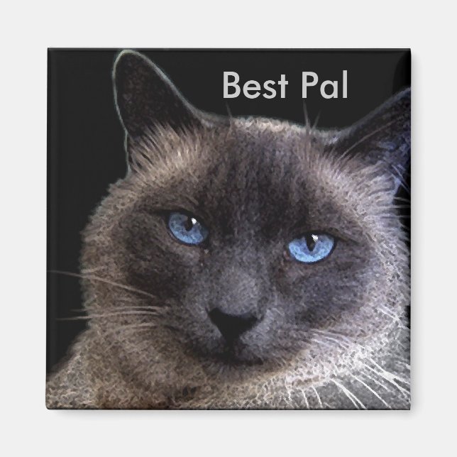 "BEST PAL" Siamese Cat Magnet (Front)