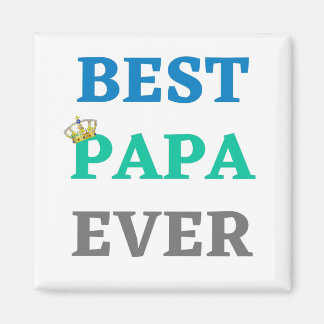 BEST PAPA EVER MAGNET