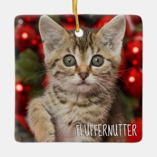 Best Personalized Picture Cat Kitten  Name Photo Ceramic Ornament