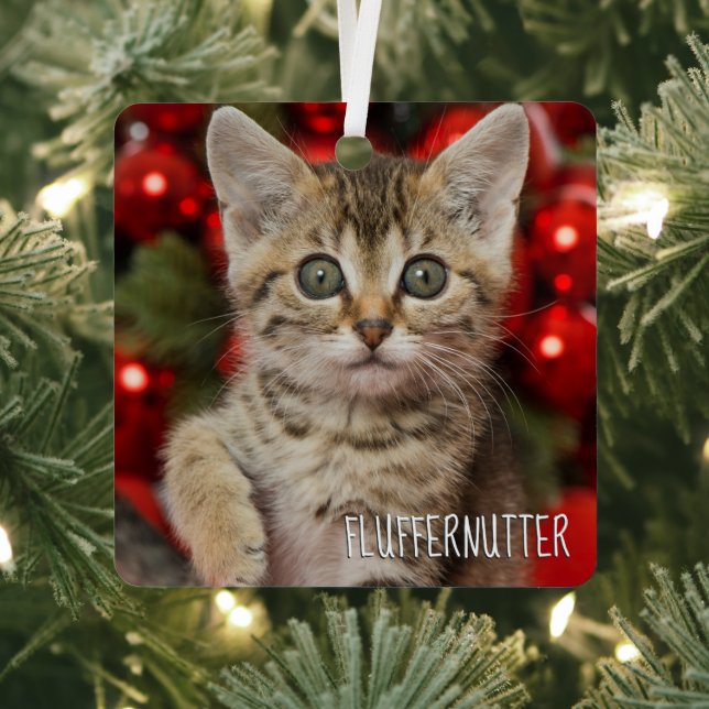 Best Personalized Picture Cat Kitten + Name Photo Metal Ornament (Insitu)