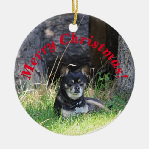 Best Pet Friend Forever Keepsake Gift Memorial Ceramic Ornament