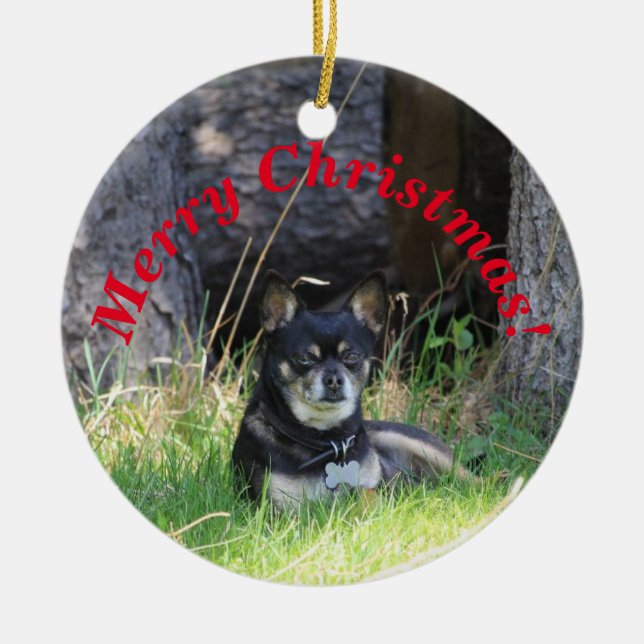 Best Pet Friend Forever Keepsake Gift Memorial Ceramic Ornament (Front)