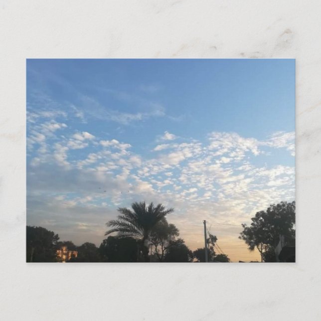 Best Postcard (Front)