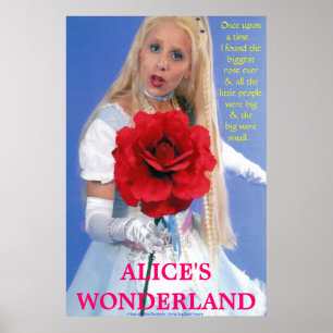 BEST POSTERS - ALICE IN WONDERLAND - A NEW STORY