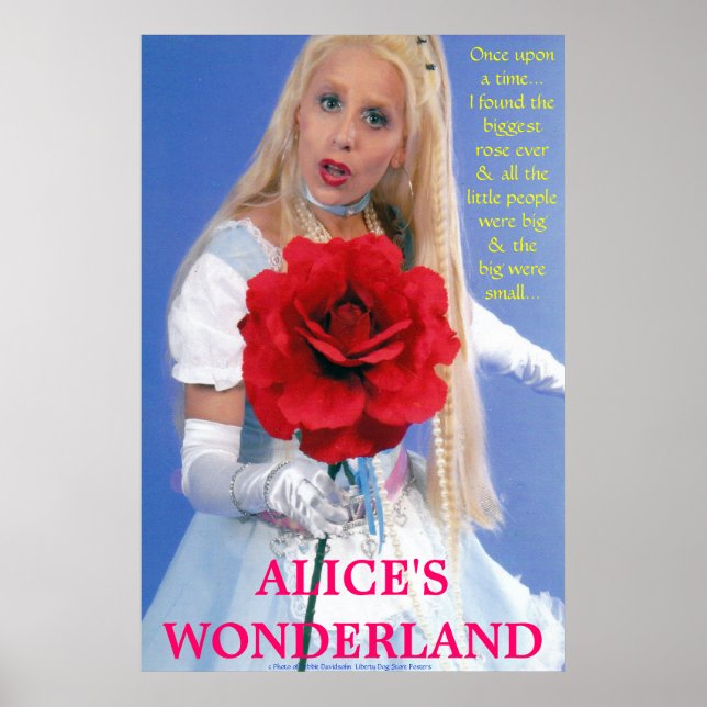 BEST POSTERS - ALICE IN WONDERLAND - A NEW STORY (Front)
