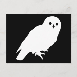 Best Price White Barn Owl Graphic Postcard