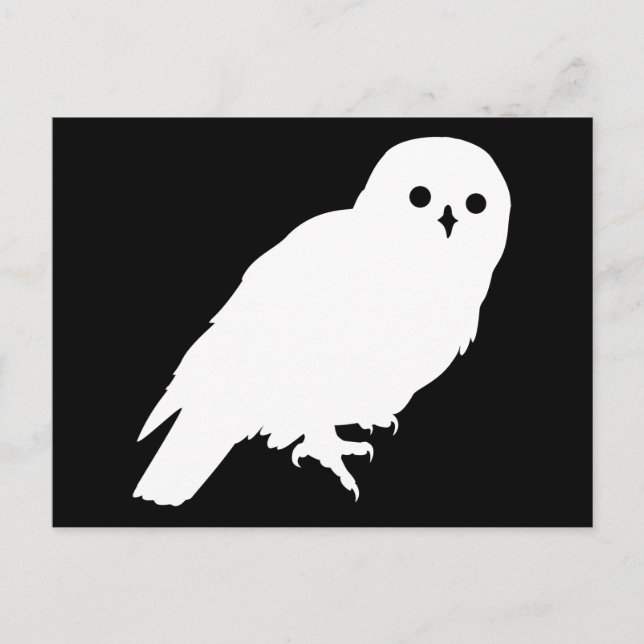 Best Price White Barn Owl Graphic Postcard (Front)