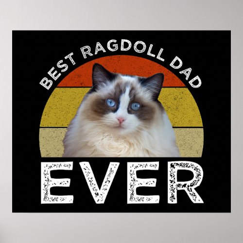Best Ragdoll Dad Ever Poster