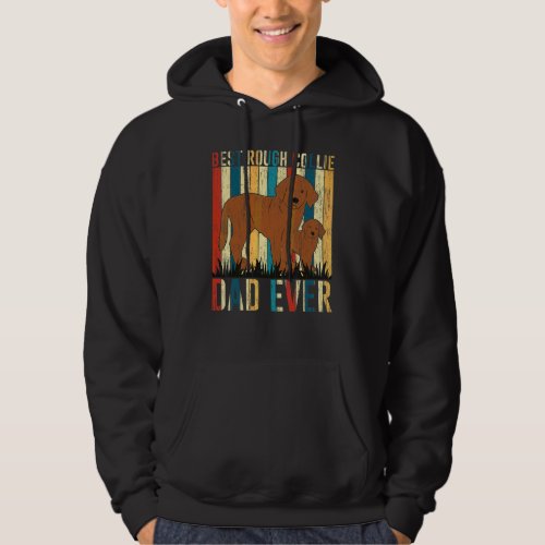 Best Rough Collie Dad Ever Fathers Day Christmas Hoodie