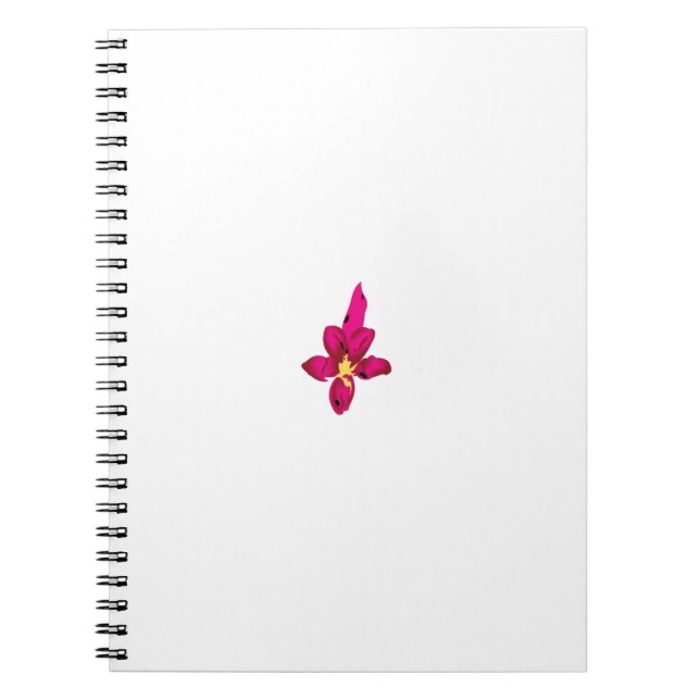 Best Spiral Notebooks for School and Office Use (Front)