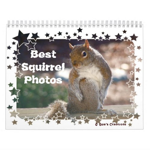 Best Squirrel Photos Calendar