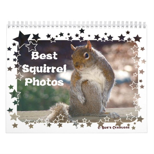 Best Squirrel Photos Calendar (Cover)