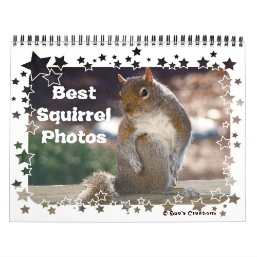 Best Squirrel Photos Calendar