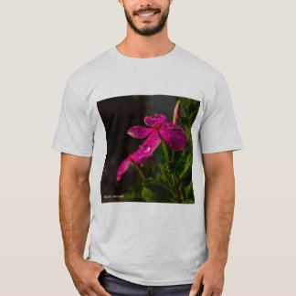 best  T-Shirt