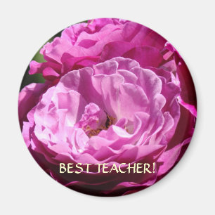 BEST TEACHER Gift Rose Magnet Roses Christmas