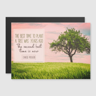 Best Time To Plant A Tree