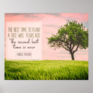 Best Time To Plant A Tree Poster
