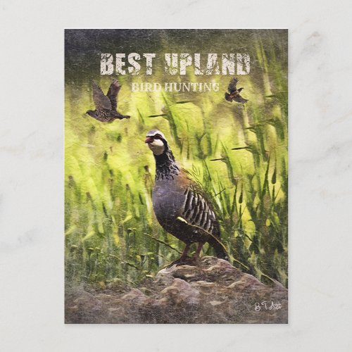 Best Upland Bird Hunting  Holiday Postcard