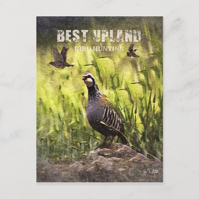 Best Upland Bird Hunting  Postcard (Front)