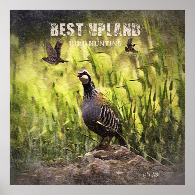 Best Upland Bird Hunting  Poster (Front)