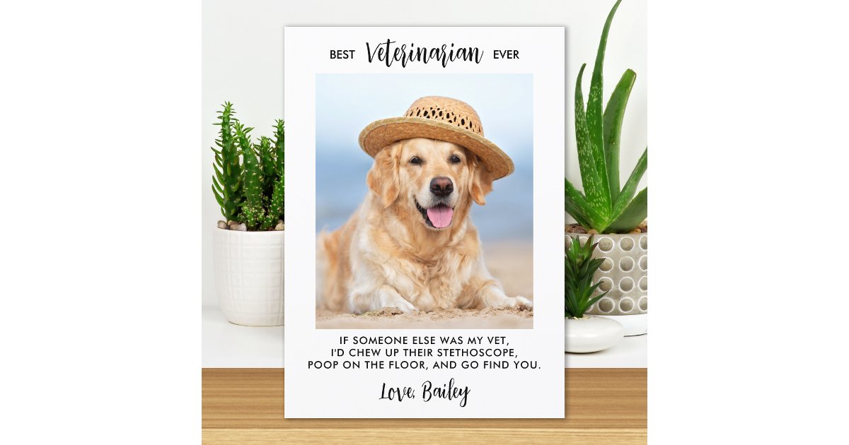 Best Veterinarian Ever Personalized Dog Pet Photo Thank You Card | Zazzle