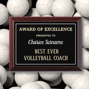 Best Volleyball Coach Award Plaque