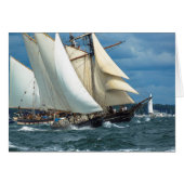 Best Wind (Front Horizontal)