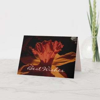 Best Wishes Daffodil Card