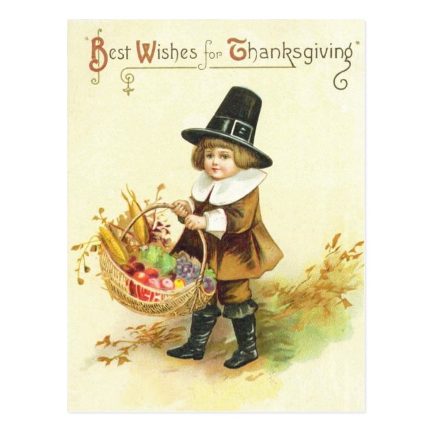 Best Wishes For Thanksgiving Postcard