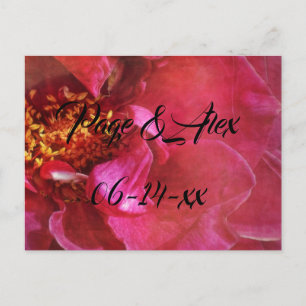 Best Wishes Newly Weds Wedding Destiny's Destiny P Postcard
