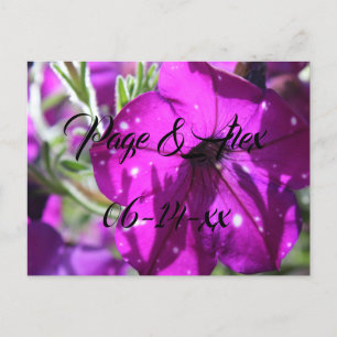Best Wishes Newly Weds Wedding Destiny's Destiny P Postcard