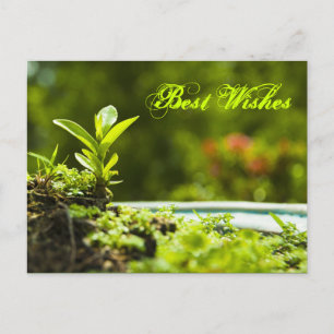 Best wishes - postcards