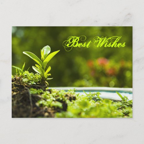 Best wishes _  postcards