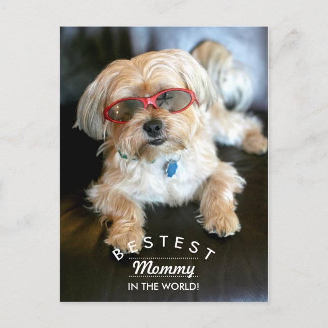 Bestest Mommy Custom Doggie Mother's Day Postcard (Front)