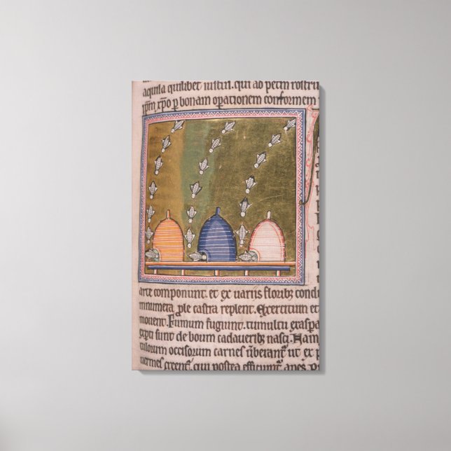 Bestiary Three curved lines Canvas Print (Front)