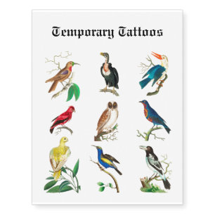 Bestie Birds vintage illustration collection Temporary Tattoos