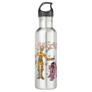 Besties C-3PO & R2-D2 Cartoon Doodle Stainless Steel Water Bottle