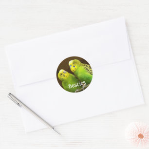 Besties Green and Yellow Parakeets Classic Round Sticker