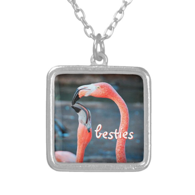 Besties Pink Flamingo Friends Photo Cute Chic Fun Silver Plated Necklace (Front)