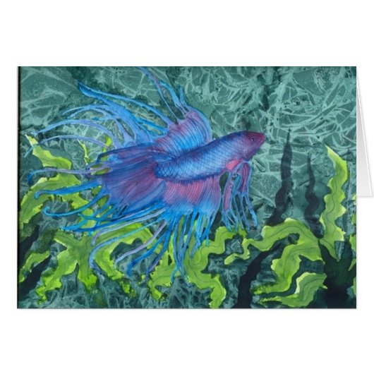 Beta Blue (Front Horizontal)