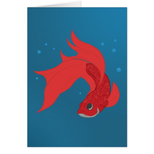 Beta Fish (Front)