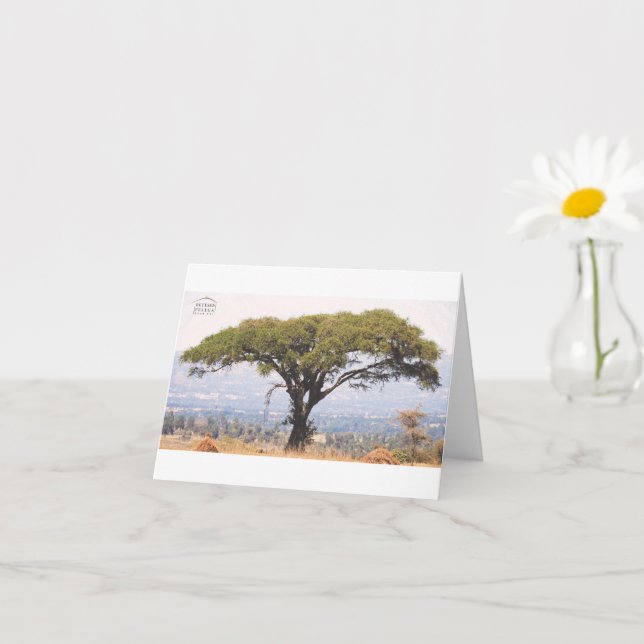 Beteseb Felega Black Note Card (Small Plant)