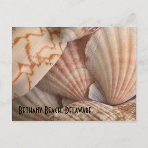 Bethany Beach Postcard
